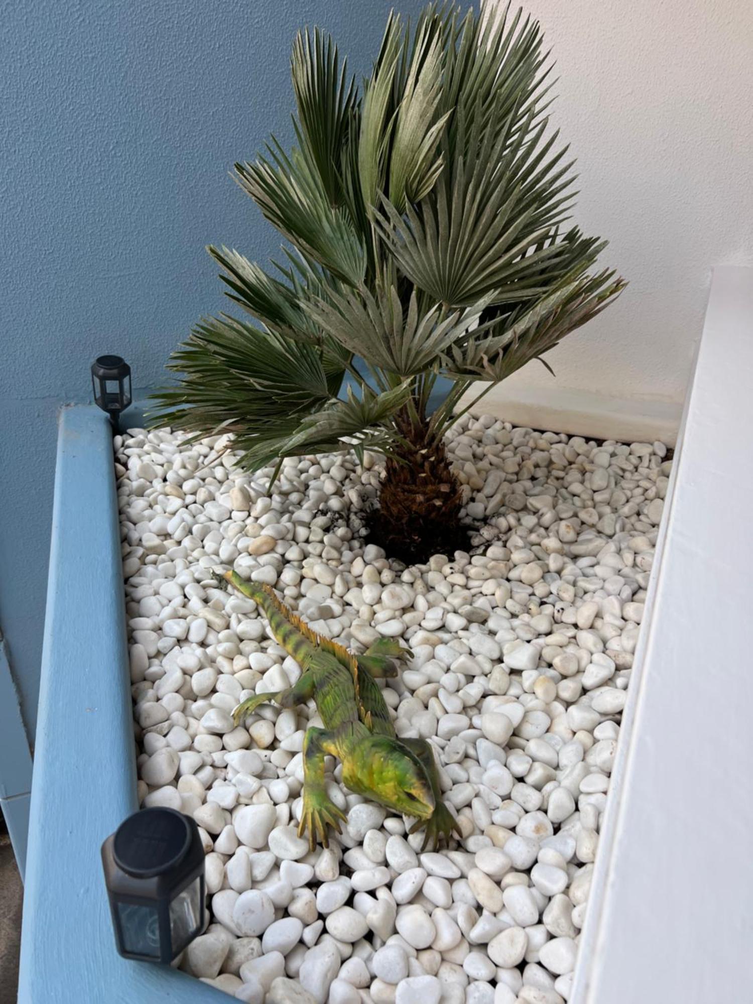 Air Conditioning, Private Parking And Fully Equipped Kitchen In Hotel Room In Golf Del Sur, Tenerife San Miguel de Abona Luaran gambar
